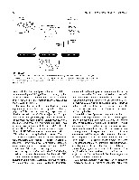 Bhagavan Medical Biochemistry 2001, page 91